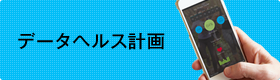 データヘルス計画