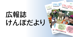 広報誌けんぽだより